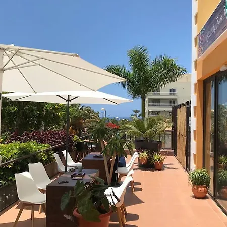 公寓 Casa Reinhart Sehr Schoenes Um Teneriffa Zu Erkunden 滨海帕尔姆