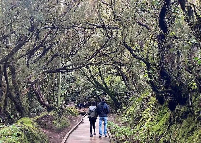 Lägenhet Casa Reinhart Sehr Schoenes Um Teneriffa Zu Erkunden *